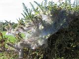 2009-09-25 11-06-51L